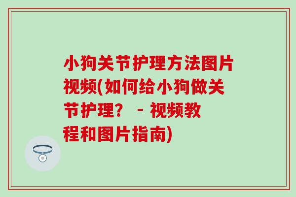 小狗关节护理方法图片视频(如何给小狗做关节护理？ - 视频教程和图片指南)