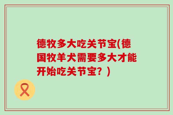 德牧多大吃关节宝(德国牧羊犬需要多大才能开始吃关节宝？)