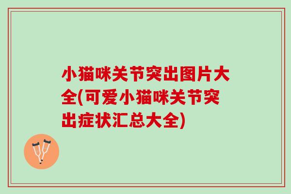 小猫咪关节突出图片大全(可爱小猫咪关节突出症状汇总大全)