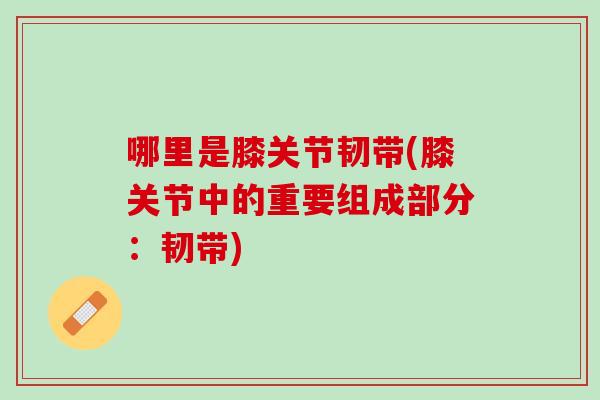 哪里是膝关节韧带(膝关节中的重要组成部分：韧带)