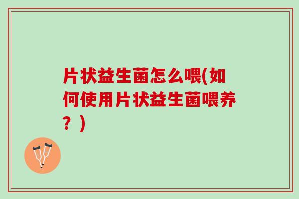 片状益生菌怎么喂(如何使用片状益生菌喂养？)
