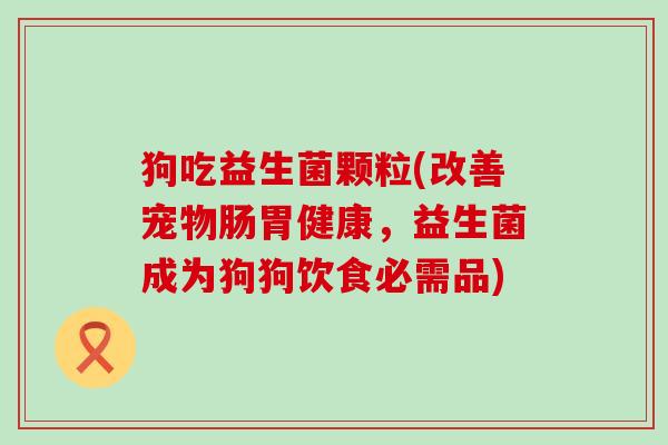 狗吃益生菌颗粒(改善宠物肠胃健康，益生菌成为狗狗饮食必需品)