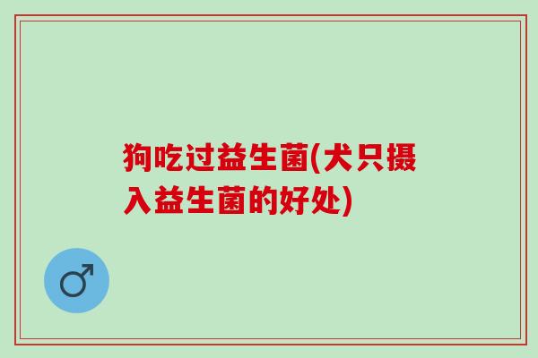 狗吃过益生菌(犬只摄入益生菌的好处)