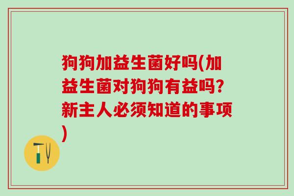 狗狗加益生菌好吗(加益生菌对狗狗有益吗？新主人必须知道的事项)