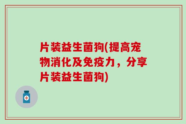 片装益生菌狗(提高宠物消化及免疫力，分享片装益生菌狗)