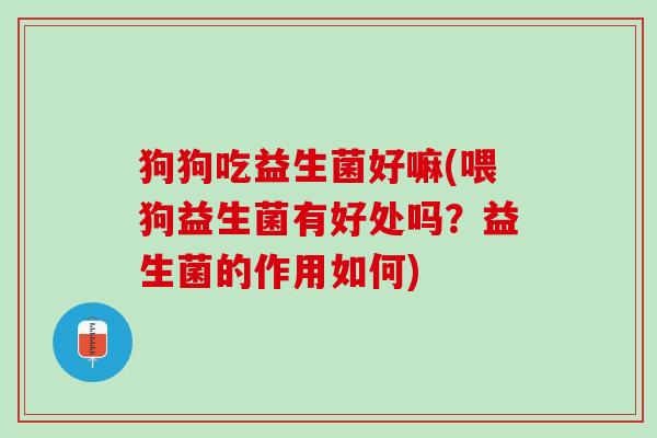 狗狗吃益生菌好嘛(喂狗益生菌有好处吗？益生菌的作用如何)
