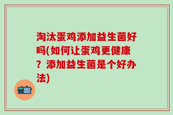 淘汰蛋鸡添加益生菌好吗(如何让蛋鸡更健康？添加益生菌是个好办法)