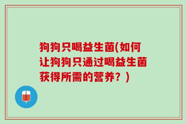 狗狗只喝益生菌(如何让狗狗只通过喝益生菌获得所需的营养？)