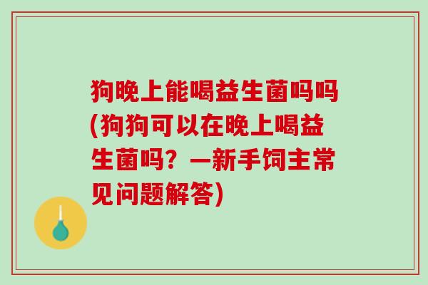 狗晚上能喝益生菌吗吗(狗狗可以在晚上喝益生菌吗?—新手饲主常见问题解答) 狗晚上能喝益生菌吗吗(狗狗可以在晚上喝益生菌吗?—新手饲主常见问题解答)
