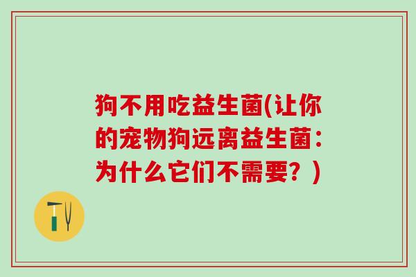 狗不用吃益生菌(让你的宠物狗远离益生菌：为什么它们不需要？)