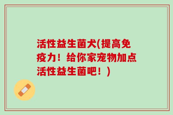 活性益生菌犬(提高免疫力！给你家宠物加点活性益生菌吧！)