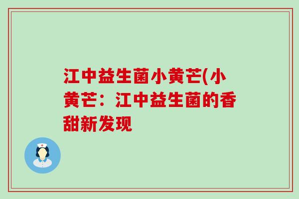 江中益生菌小黄芒(小黄芒：江中益生菌的香甜新发现