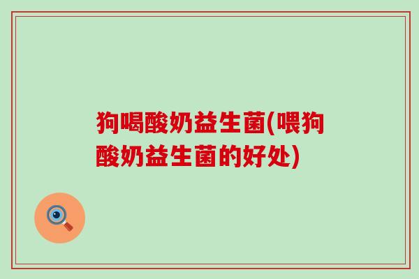 狗喝酸奶益生菌(喂狗酸奶益生菌的好处)