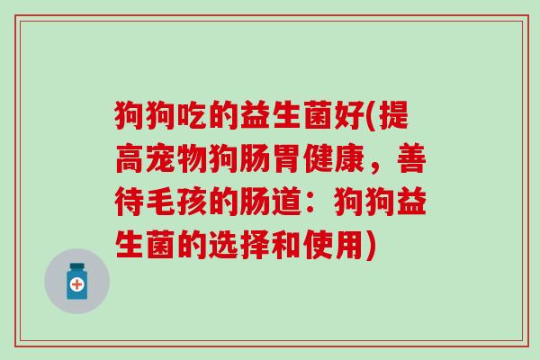 狗狗吃的益生菌好(提高宠物狗肠胃健康,善待毛孩的肠道:狗狗益生菌的选择和使用) 狗狗吃的益生菌好(提高宠物狗肠胃健康,善待毛孩的肠道:狗狗益生菌的选择和使用)