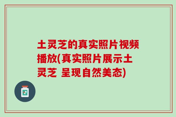 土灵芝的真实照片视频播放(真实照片展示土灵芝 呈现自然美态) 土灵芝的真实照片视频播放(真实照片展示土灵芝 呈现自然美态)