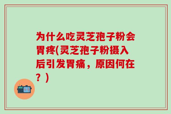 为什么吃灵芝孢子粉会胃疼(灵芝孢子粉摄入后引发胃痛，原因何在？)