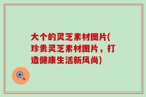 大个的灵芝素材图片(珍贵灵芝素材图片，打造健康生活新风尚)
