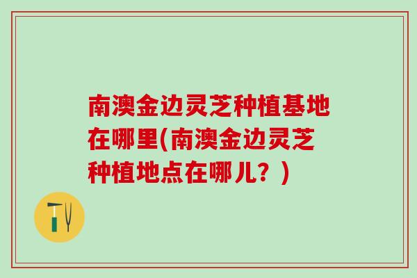 南澳金边灵芝种植基地在哪里(南澳金边灵芝种植地点在哪儿？)