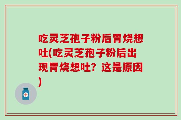 吃灵芝孢子粉后胃烧想吐(吃灵芝孢子粉后出现胃烧想吐？这是原因)