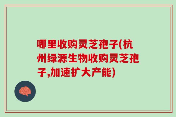 哪里收购灵芝孢子(杭州绿源生物收购灵芝孢子,加速扩大产能)