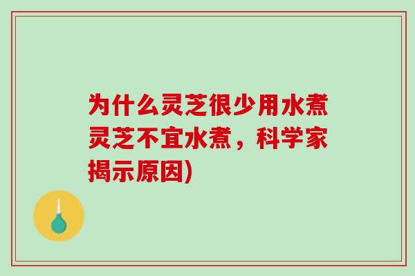 为什么灵芝很少用水煮灵芝不宜水煮，科学家揭示原因)