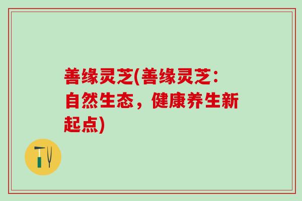 善缘灵芝(善缘灵芝：自然生态，健康养生新起点)