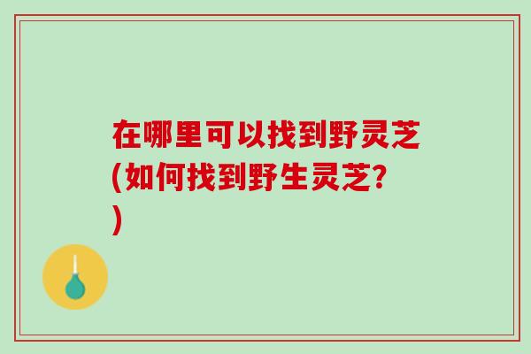 在哪里可以找到野灵芝(如何找到野生灵芝？)