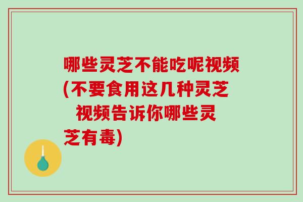 哪些灵芝不能吃呢视频(不要食用这几种灵芝  视频告诉你哪些灵芝有毒)