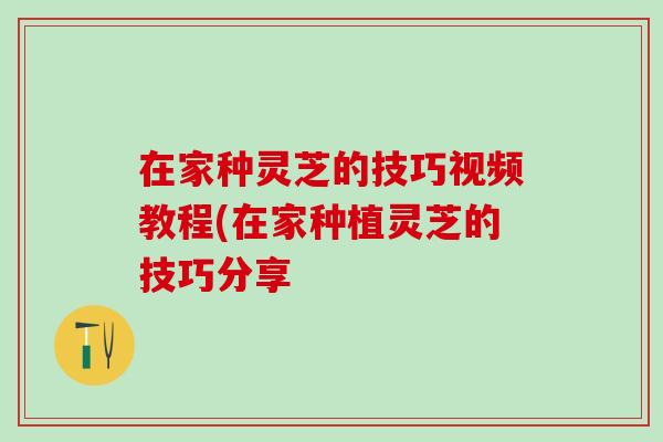 在家种灵芝的技巧视频教程(在家种植灵芝的技巧分享