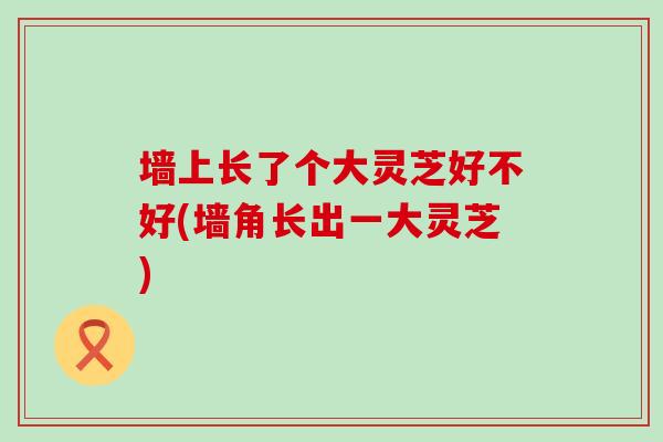 墙上长了个大灵芝好不好(墙角长出一大灵芝)