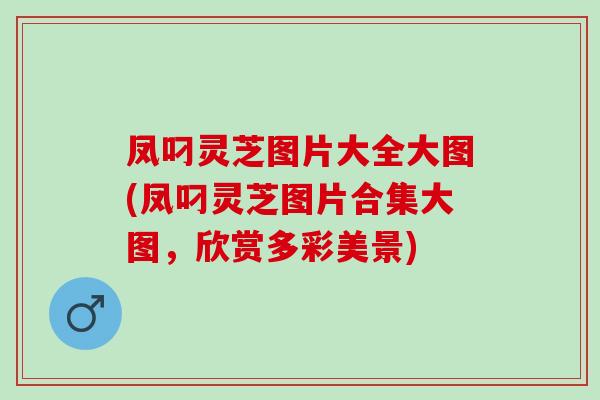 凤叼灵芝图片大全大图(凤叼灵芝图片合集大图，欣赏多彩美景)