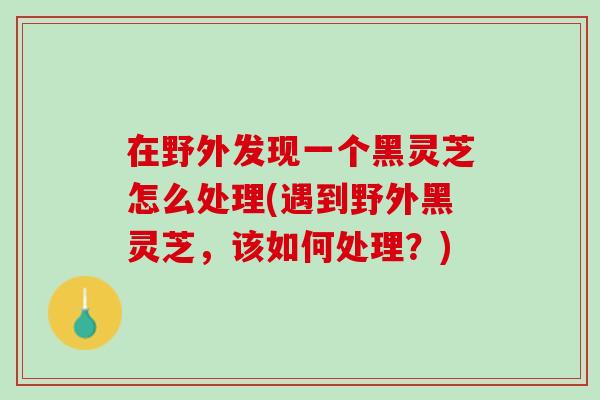 在野外发现一个黑灵芝怎么处理(遇到野外黑灵芝，该如何处理？)