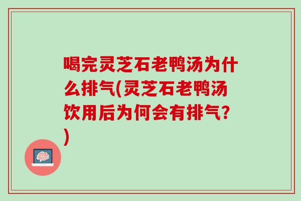 喝完灵芝石老鸭汤为什么排气(灵芝石老鸭汤饮用后为何会有排气？)
