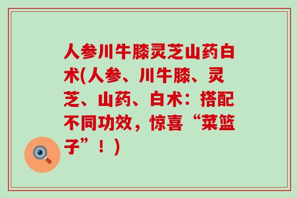 人参川牛膝灵芝山药白术(人参、川牛膝、灵芝、山药、白术：搭配不同功效，惊喜“菜篮子”！)