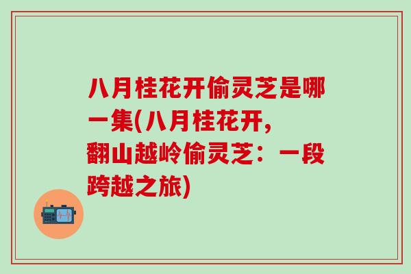 八月桂花开偷灵芝是哪一集(八月桂花开, 翻山越岭偷灵芝：一段跨越之旅)