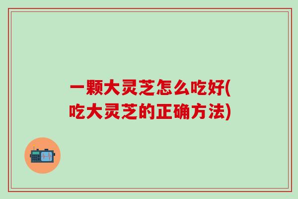 一颗大灵芝怎么吃好(吃大灵芝的正确方法)