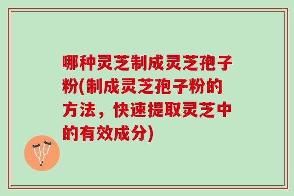 哪种灵芝制成灵芝孢子粉(制成灵芝孢子粉的方法，快速提取灵芝中的有效成分)
