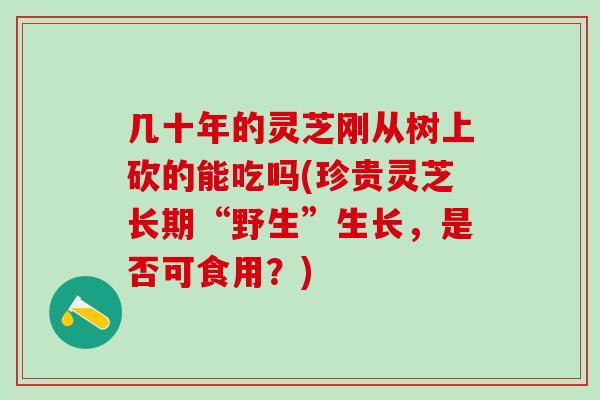 几十年的灵芝刚从树上砍的能吃吗(珍贵灵芝长期“野生”生长，是否可食用？)