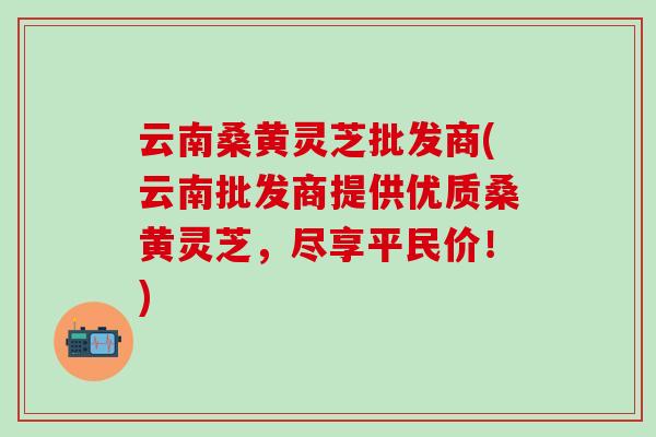 云南桑黄灵芝批发商(云南批发商提供优质桑黄灵芝，尽享平民价！)