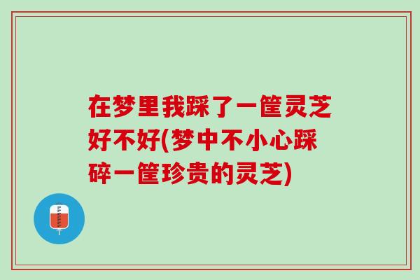 在梦里我踩了一筐灵芝好不好(梦中不小心踩碎一筐珍贵的灵芝)