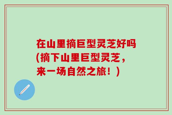 在山里摘巨型灵芝好吗(摘下山里巨型灵芝，来一场自然之旅！)