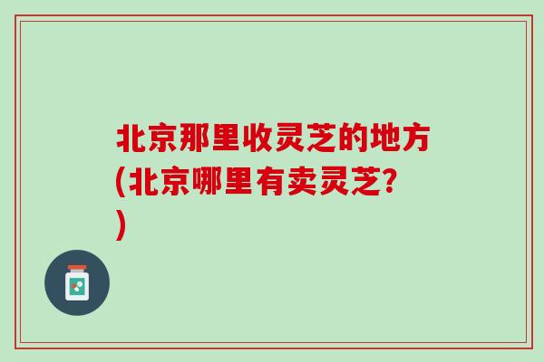 北京那里收灵芝的地方(北京哪里有卖灵芝？)