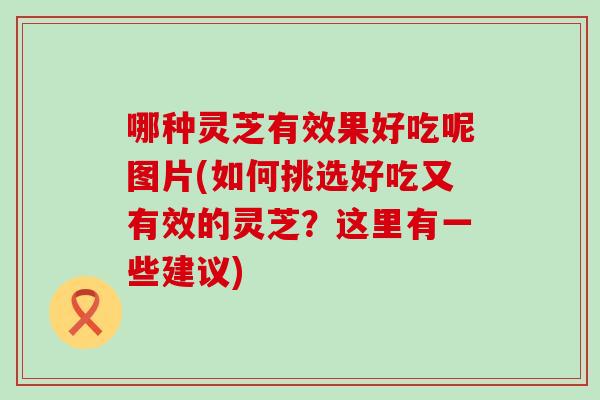 哪种灵芝有效果好吃呢图片(如何挑选好吃又有效的灵芝？这里有一些建议)