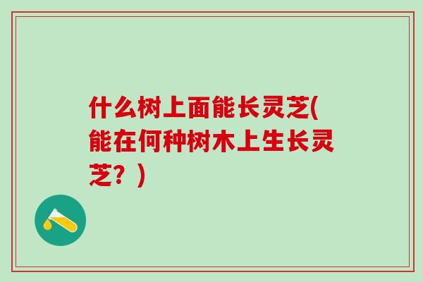 什么树上面能长灵芝(能在何种树木上生长灵芝？)
