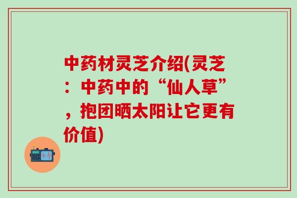 中药材灵芝介绍(灵芝：中药中的“仙人草”，抱团晒太阳让它更有价值)
