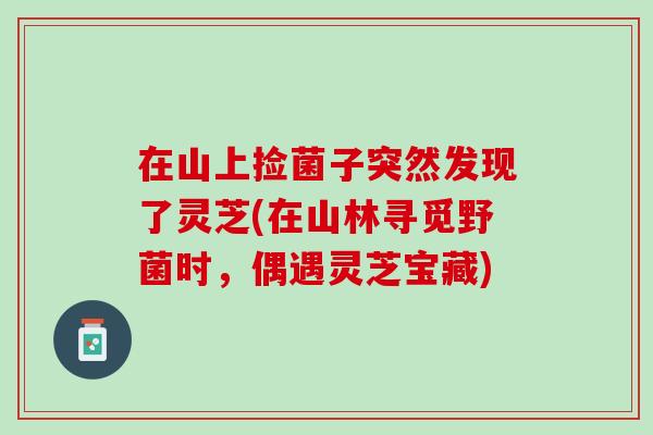 在山上捡菌子突然发现了灵芝(在山林寻觅野菌时，偶遇灵芝宝藏)