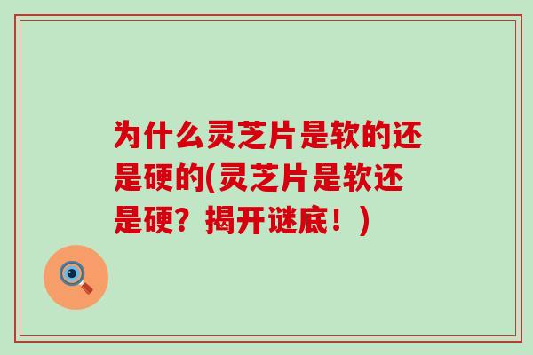 为什么灵芝片是软的还是硬的(灵芝片是软还是硬？揭开谜底！)