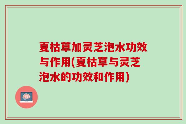 夏枯草加灵芝泡水功效与作用(夏枯草与灵芝泡水的功效和作用)