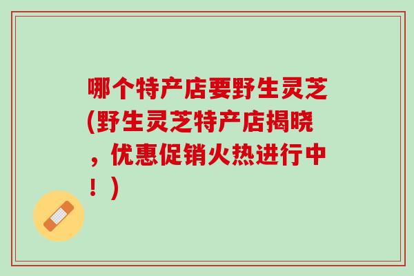 哪个特产店要野生灵芝(野生灵芝特产店揭晓，优惠促销火热进行中！)
