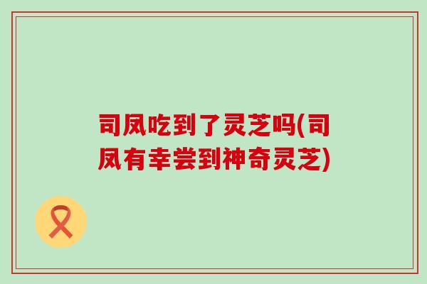 司凤吃到了灵芝吗(司凤有幸尝到神奇灵芝)